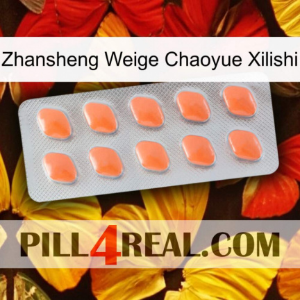 Zhansheng Weige Chaoyue Xilishi 26